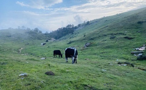 Dangdunge Danda (4).jpeg